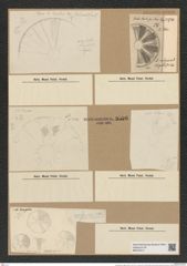 Actinoptychus vulgaris Schum. (de-Toni-Nr.: Genus 227, Species 5565) Zeichnungen Sammlung Grunow Nr. 9596 (NHMW-BOT-W0379414)